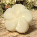 Cocoa Butter Lotion Bar